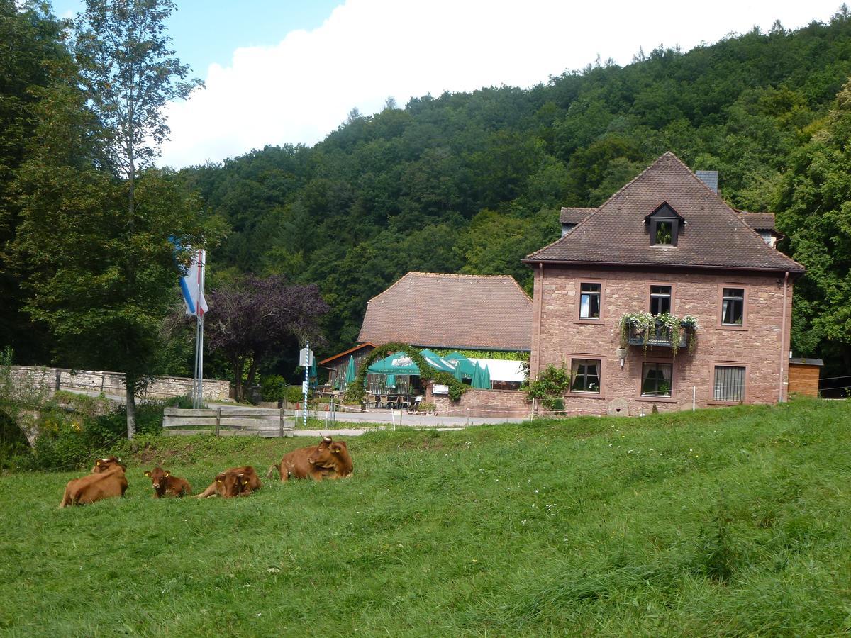 Hotelgasthof Buchenmuehle Lohr am Main Экстерьер фото